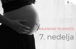7. kalendar trudnoće