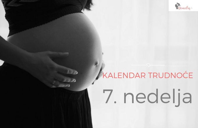 7 kalendar trudnoće