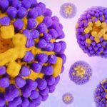 hepatitis b u trudnoci