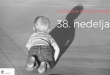 38. nedelja bebinog razvoja
