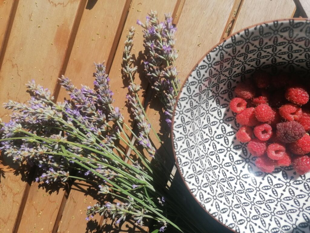 lavanda