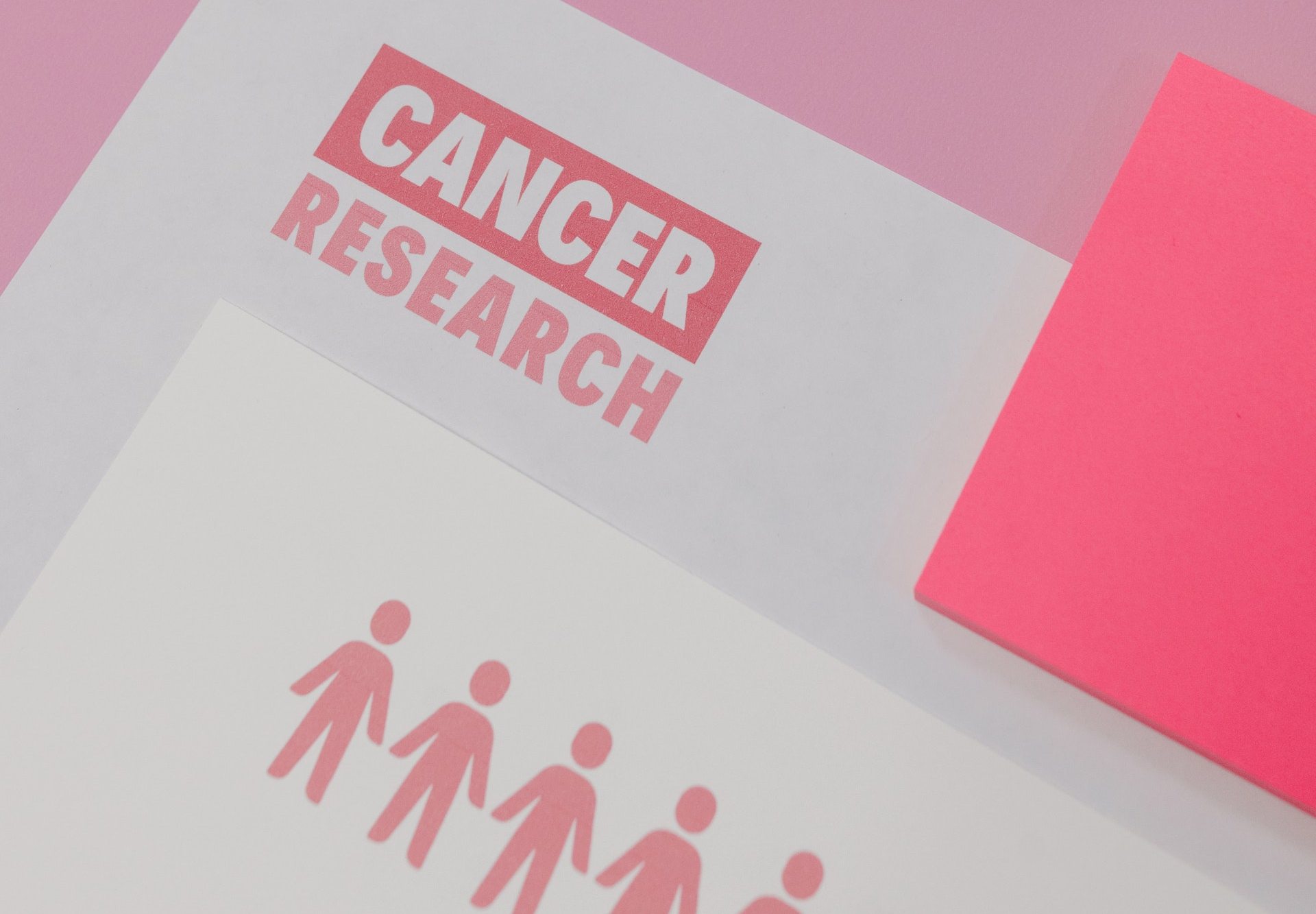 15 zabluda o raku dojke