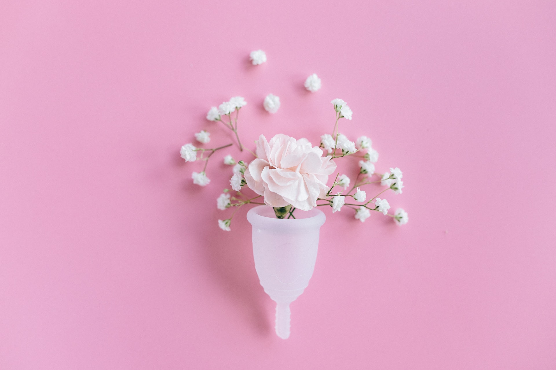 Menstrualna čašica – šta sve treba da znate