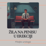 Žila na penisu u erekciji