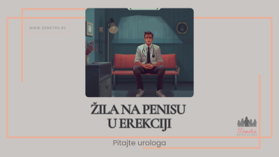 Žila na penisu u erekciji