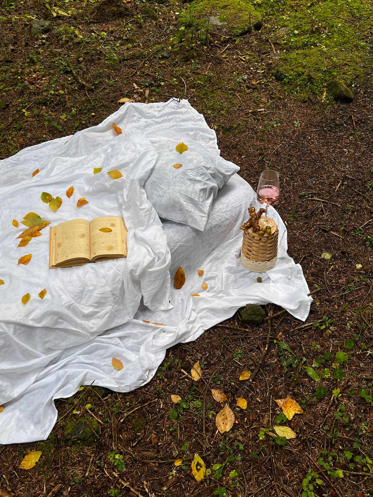 Želite da živite duže? Zdravo srce smanjuje rizik i od padova u poznim godinama