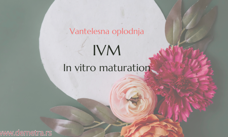 IVM metoda (In vitro maturation)