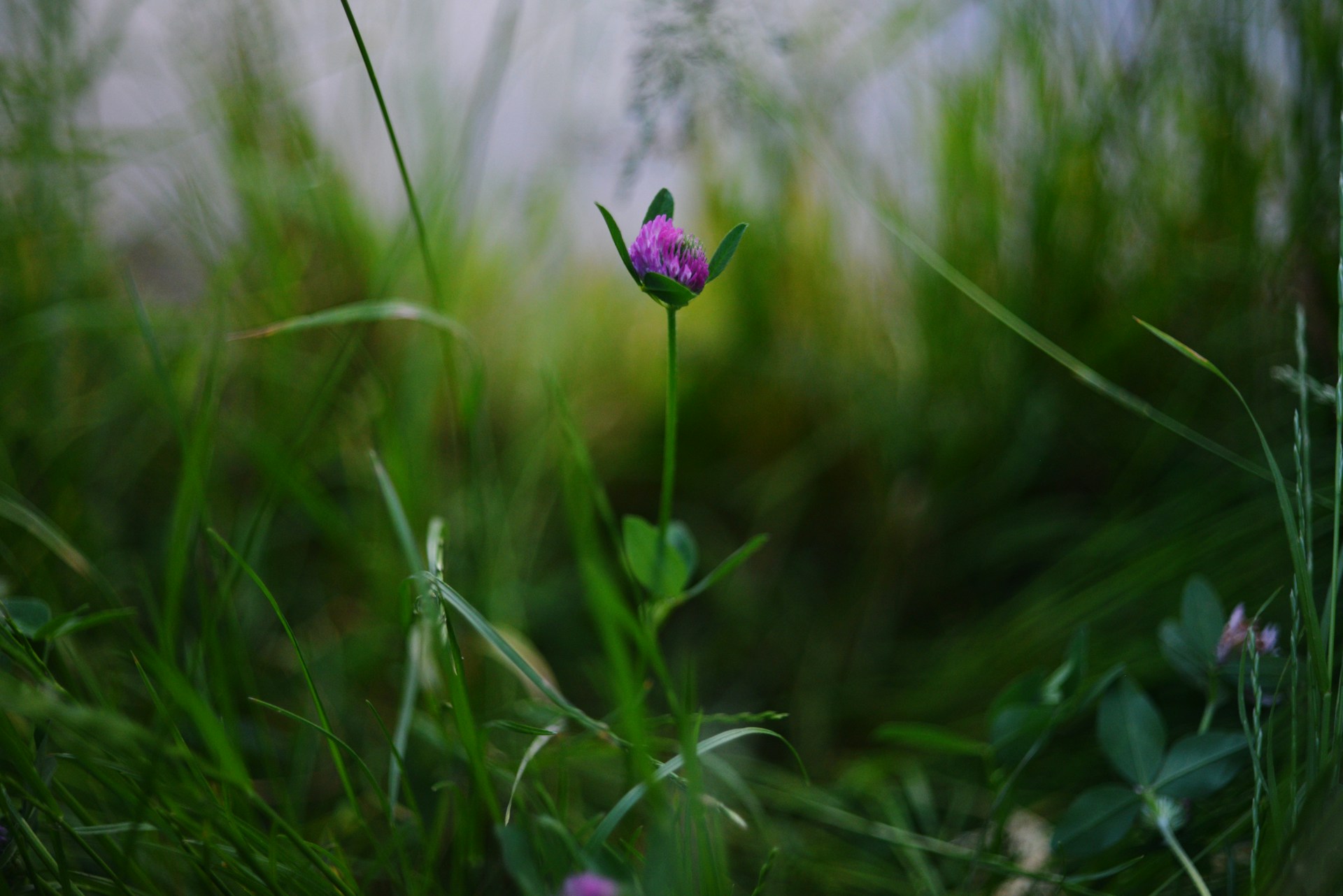 Polip u materici: simptomi, uzroci i kada je potrebno lečenje