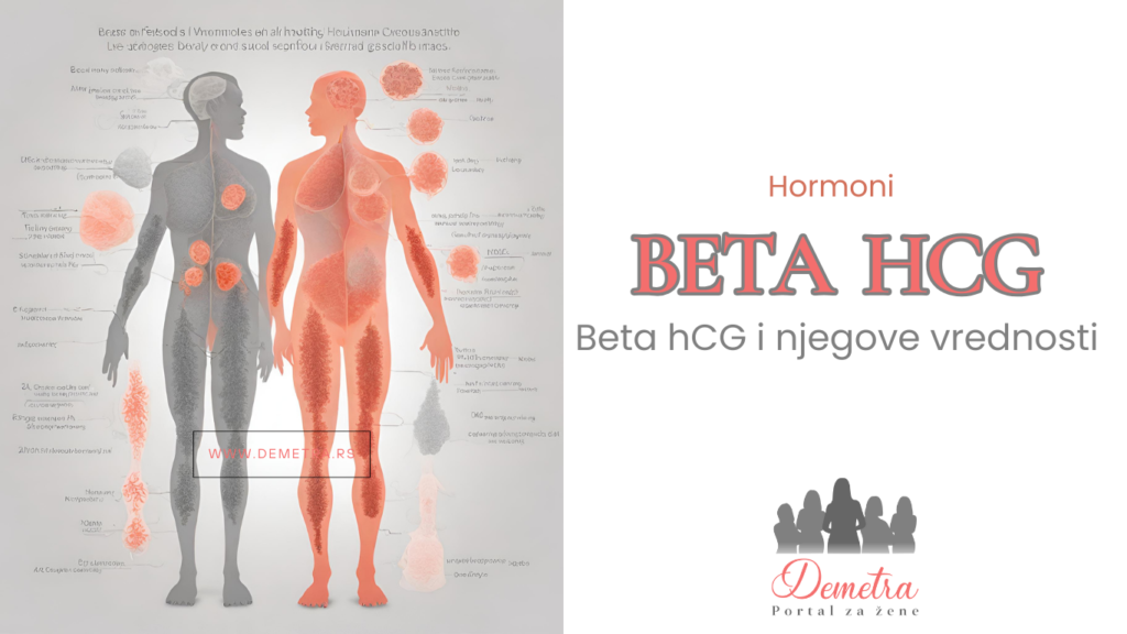 beta hcg