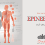 epinefrin