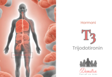 Trijodotironin T3