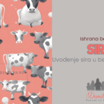 Uvođenje sira u bebinu ishranu