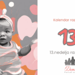 13. nedelja bebinog razvoja
