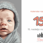 15. nedelja bebinog razvoja
