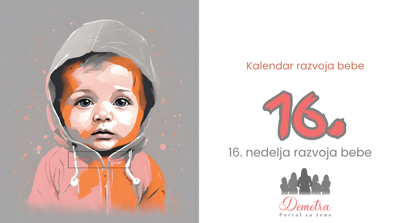 16. nedelja bebinog razvoja – Kalendar razvoja bebe