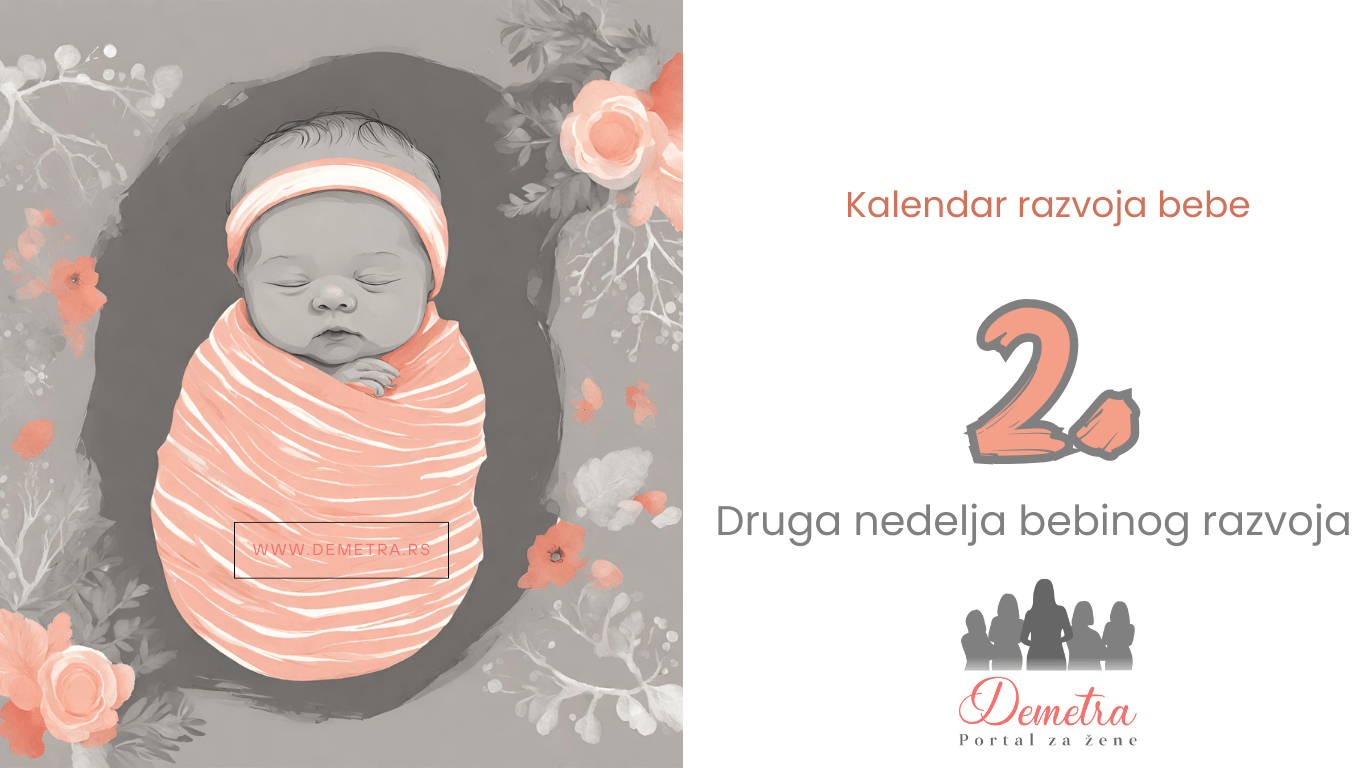 2. nedelja bebinog razvoja