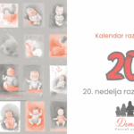 20.nedelja bebinog razvoja