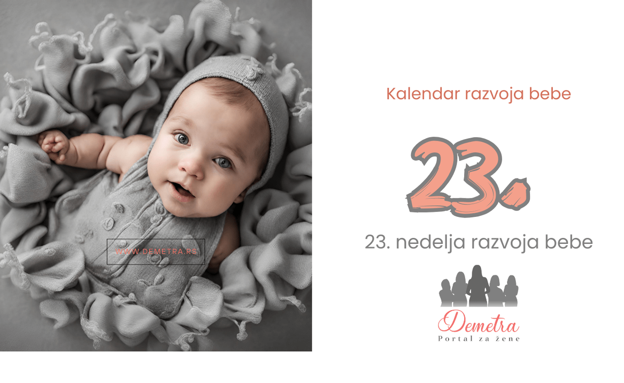 23.nedelja bebinog razvoja