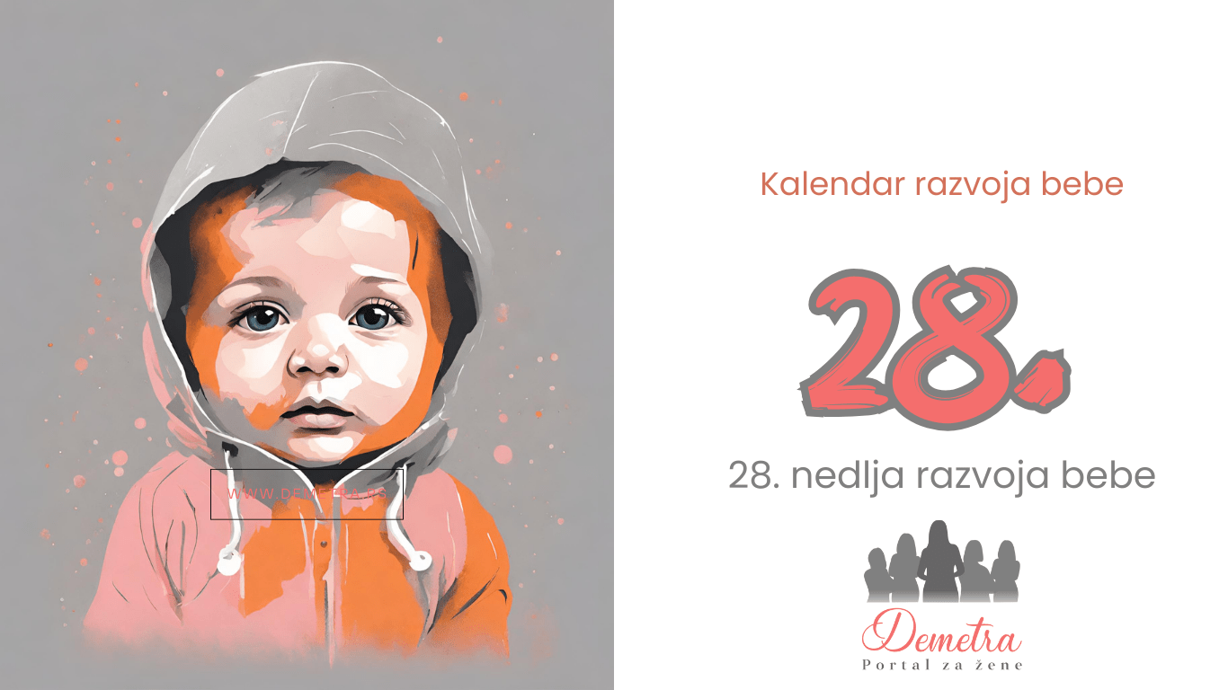 28. nedelja bebinog razvoja