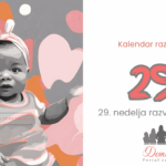29.nedelja bebinog razvoja