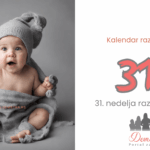 31.nedelja bebinog razvoja