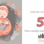 5. nedelja bebinog razvoja