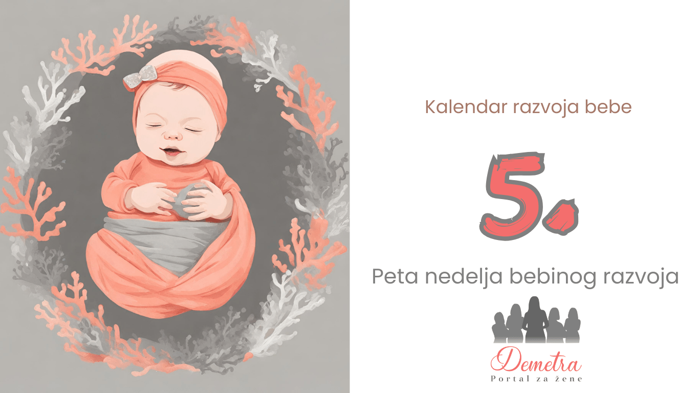 5. nedelja bebinog razvoja