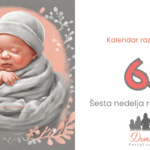 6. nedelja bebinog razvoja