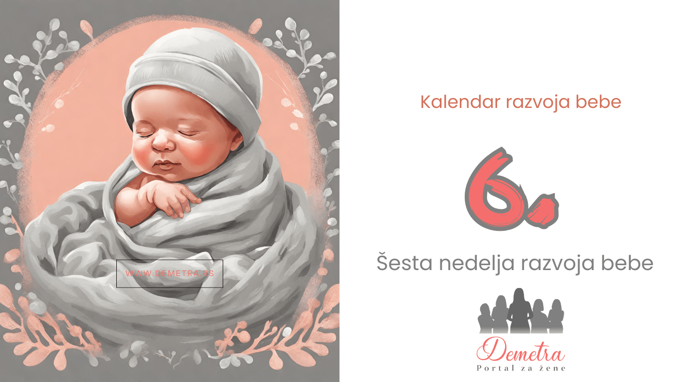 6. nedelja bebinog razvoja