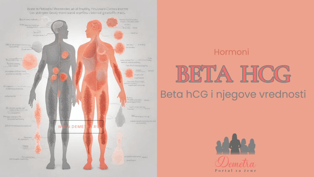 beta hcg