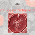 Posteljica na zadnjem zidu