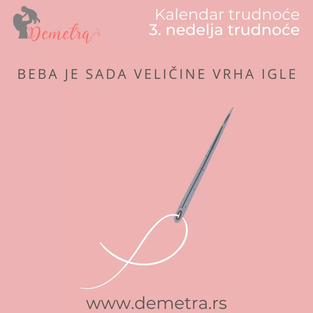 kolika je beba u 3. nedelji trudnoce