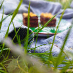 kolač sa kikirikijem