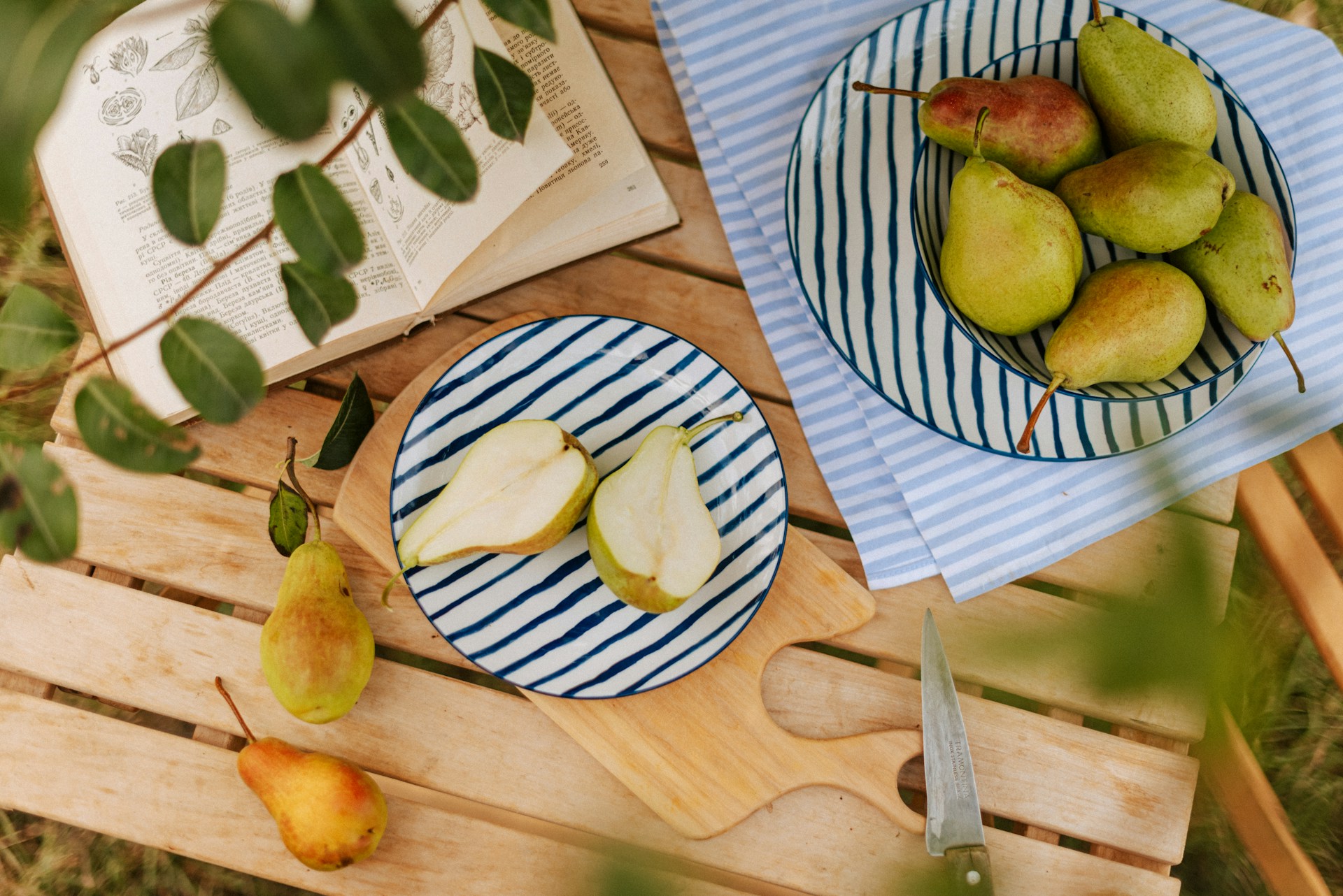 Kako se dešava začeće