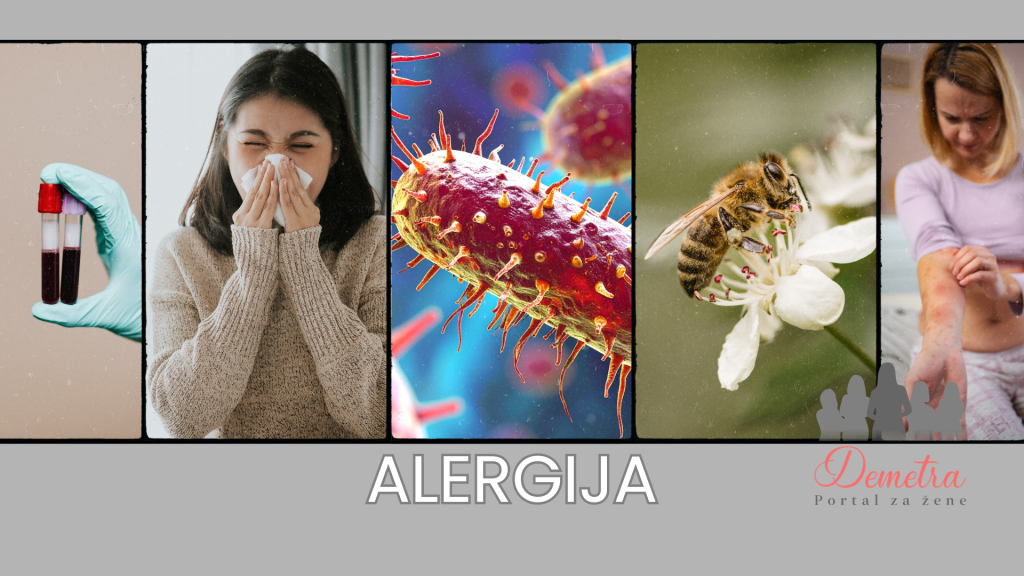 alergija kategorija alergije