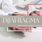 dijafragma