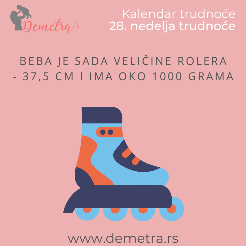 Kolika je beba u 28. nedelji trudnoće