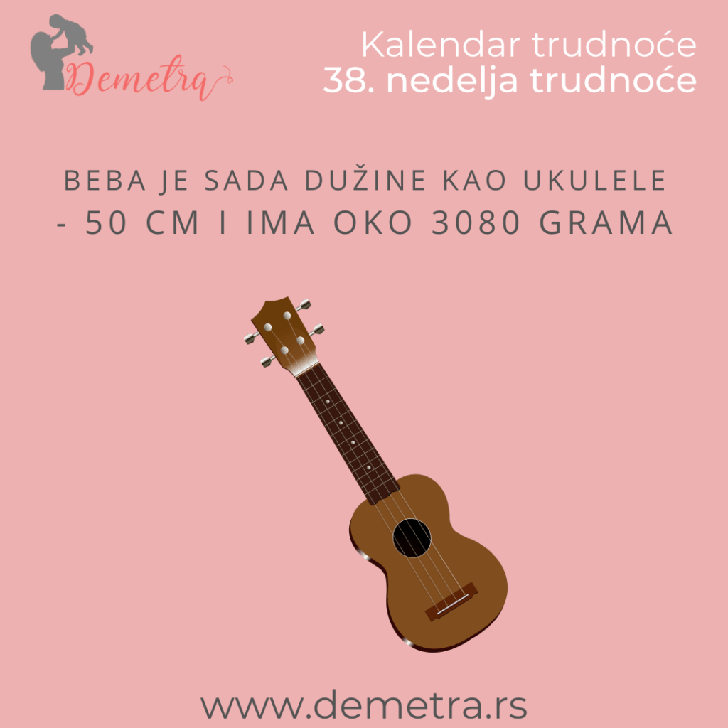 Kolika je beba u 38 nedelji trudnoće