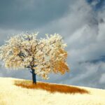 Šansa za pobačaj ponovo