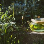 univerzalni lek za žensko zdravlje