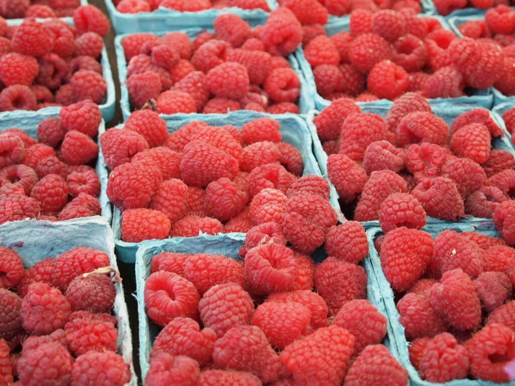 zasto su maline zdrave