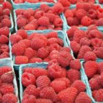 zasto su maline zdrave