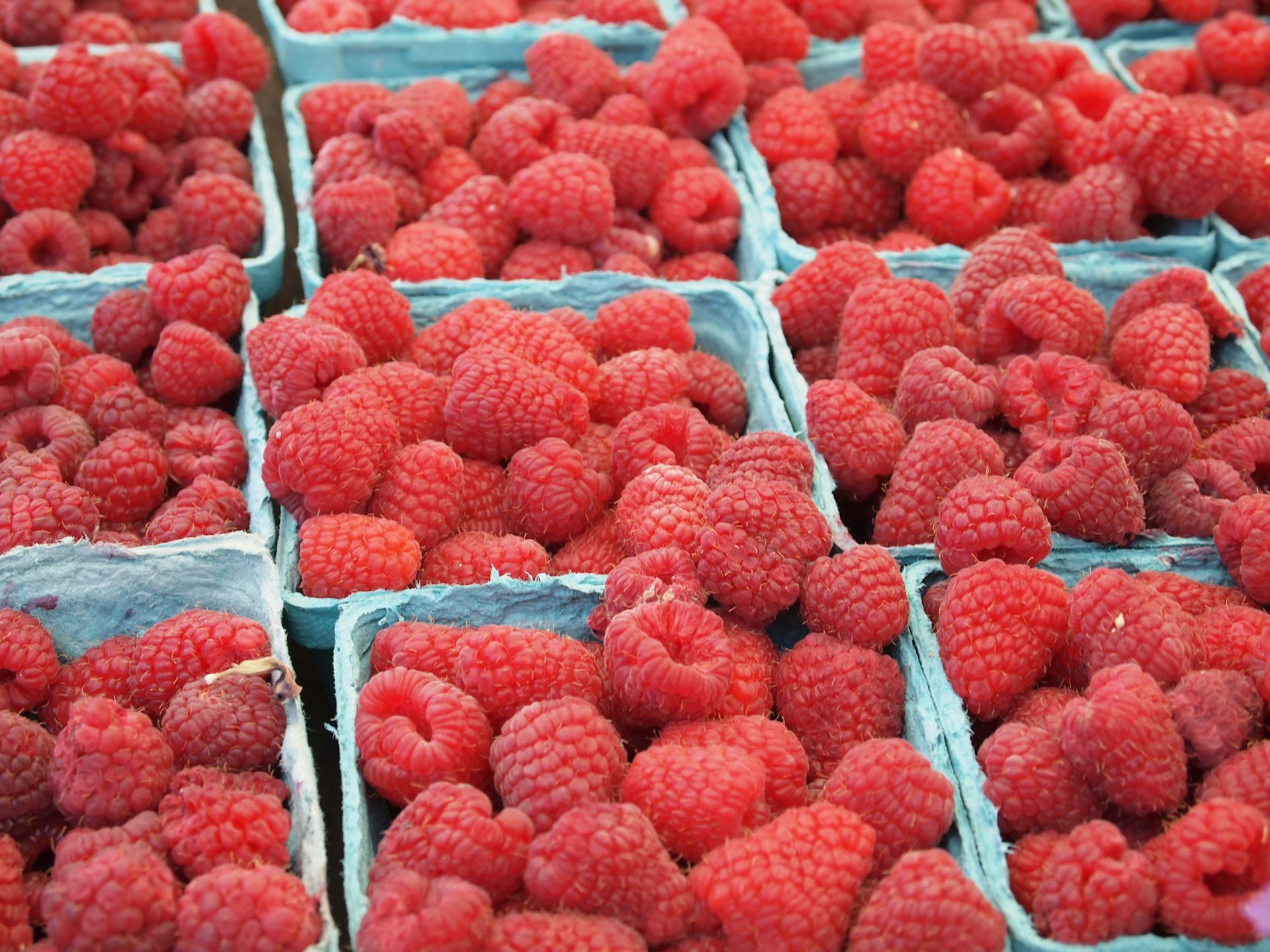 Maline: Kako utiču na zdravlje i 9 razloga zašto su maline zdrave