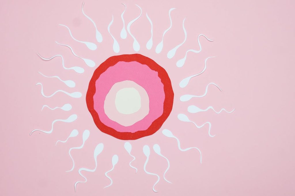 vto sa doniranim spermatozoidima
