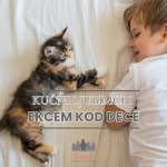 Kućni ljubimci i ekcem