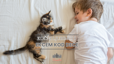 Kućni ljubimci i ekcem 