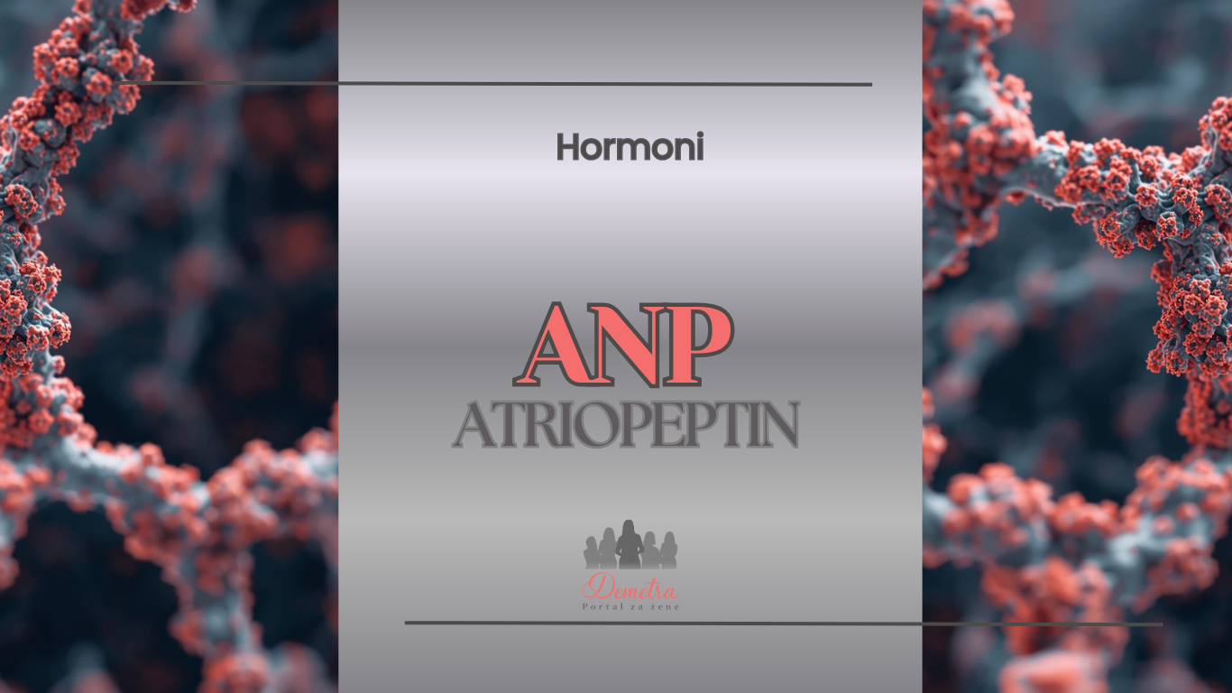 Šta je atriopeptin (ANP)?