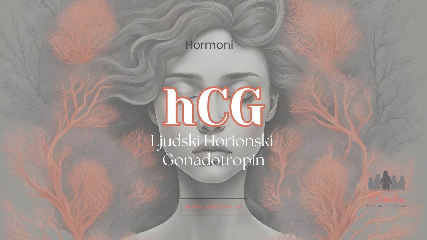 Ljudski horionski gonadotropin (HCG) – HORMONI
