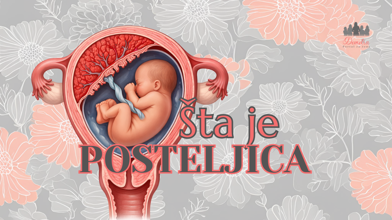 Šta je posteljica i zašto je ključna za zdravu trudnoću