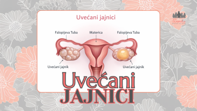 UVEĆANI JAJNICI